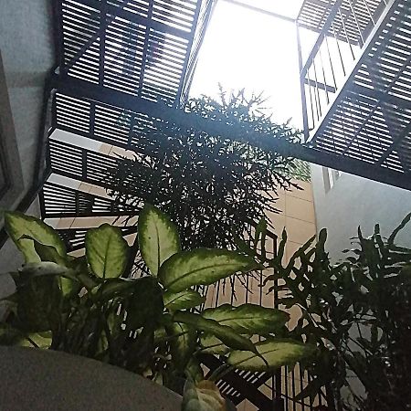 Hotel Hcm Guadalajara Eksteriør billede